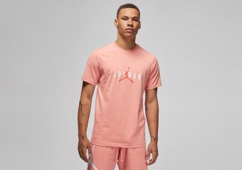 NIKE AIR JORDAN STRETCH CREW TEE DOLL LIGHT MADDER ROOT