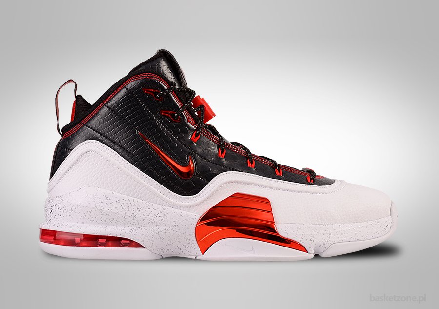 Air pippen 6 on sale